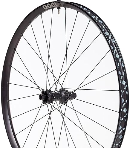 Amazon.com : DT Swiss H 1900 Wheel, 30 mm Rim, 15 x 110 mm